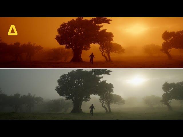 How to recreate movie looks with Artlist’s premium LUTs and @watchluke