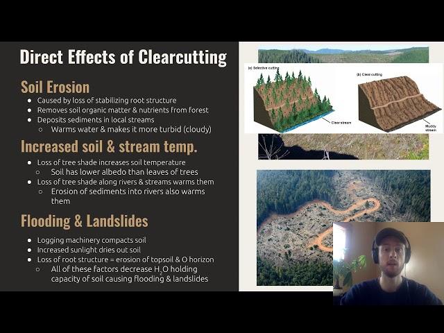 APES Video Notes for 5.2 - Clearcutting