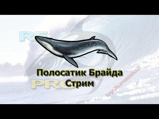 Русская Рыбалка 3 (Russian Fishing). Ловим китов