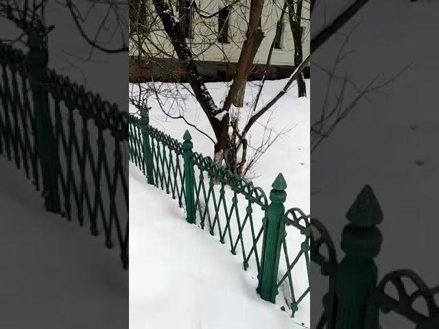 Балашиха. Забавное видео с белочкой)