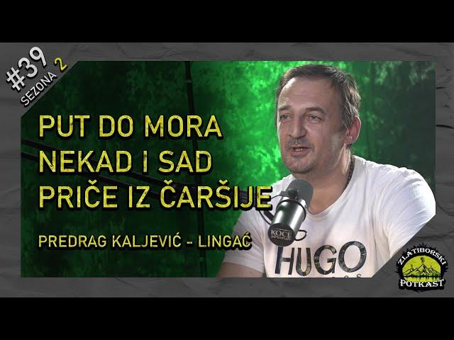 Predrag Kaljević - Lingać V2.0 - Zlatiborski podcast Ep. 39