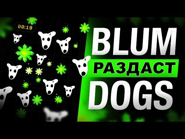 BLUM РАЗДАСТ DOGS? МАСШТАБНОЕ ОБНОВЛЕНИЕ | +10% К ФАРМУ, WALLET, CRYPTO DROP И MEMEPAD!