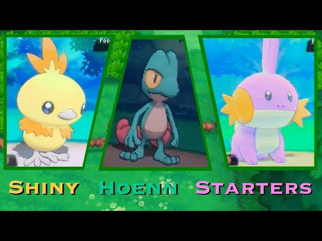 [LIVE] Finding All 3 Shiny Hoenn Starters in ORAS (Compilation)