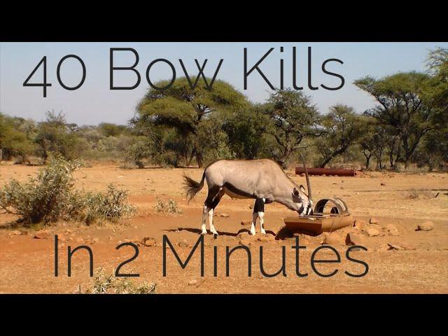 Bow Hunting Africa - 40 Bow Kills In 2  Minutes