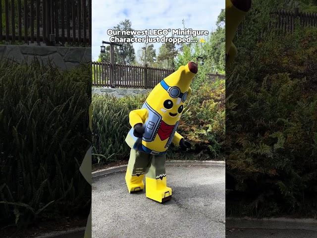 Adventure Peely just dropped at LEGOLAND! 