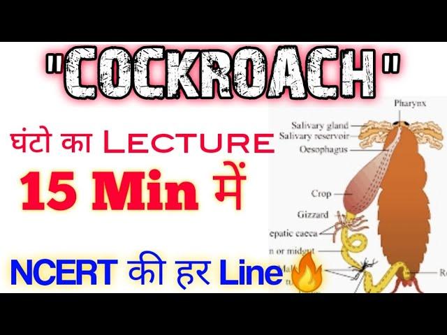 "COCKROACH" का अंत सिर्फ 15 Min में| Ncert की हर Line होगी Cover | Neet 2021 & Neet 2022