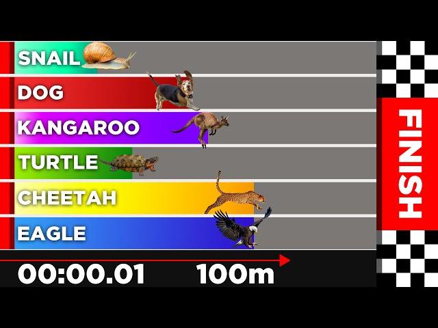 Race Simulation: Animal Olympics