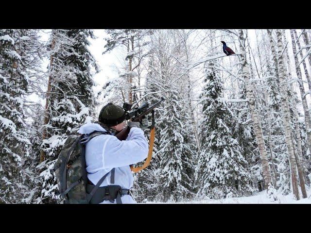 ОХОТА В ТАЙГЕ С МЕЛКАШКОЙ НА БОРОВУЮ ДИЧЬ! ЖАРЮ САЛО НА КОСТРЕ.