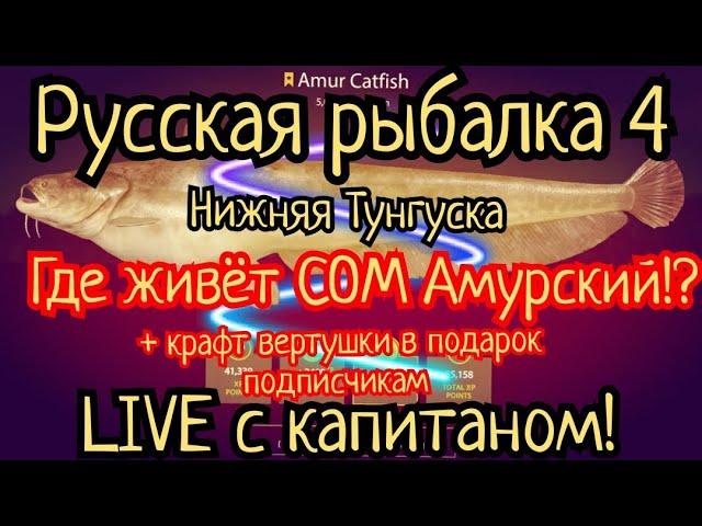 РР4. р. Нижняя Тунгуска. Где клюет СОМ АМУРСКИЙ!? Крафт вертушки в подарок! Прямой эфир с капитаном!