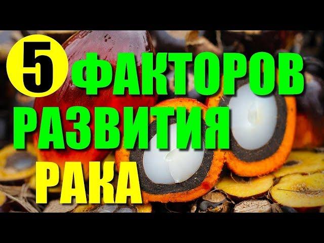 5 факторов развития рака. Продукты которые вызывают рак