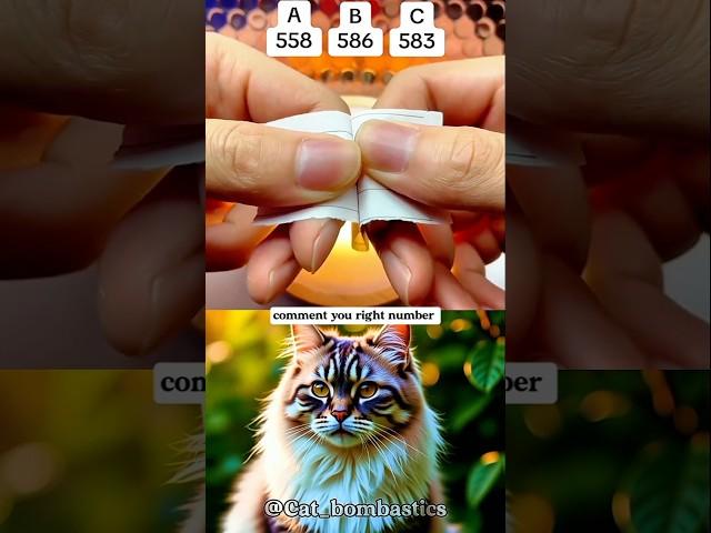 comment you right no #cat #bombastic #funny #trending