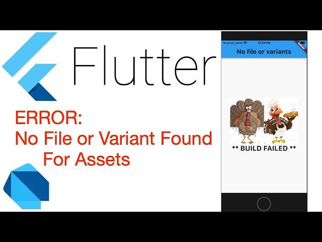 Flutter: No File or Variants Found for Asset: XYZ ERROR FIX [DEC 2021]