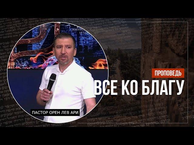 Все ко благу | Орен Лев Ари