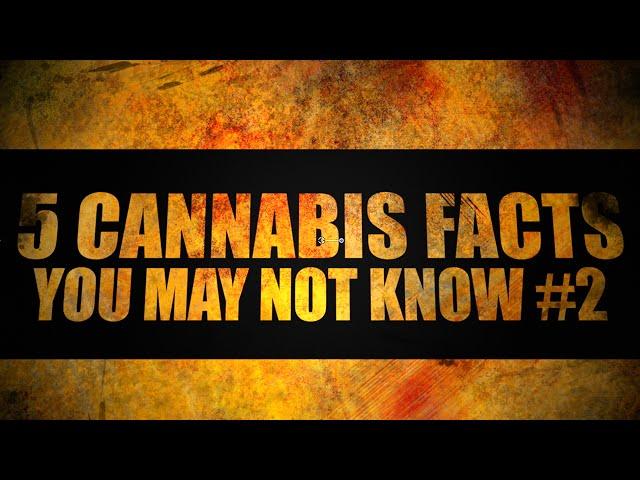 5 Cannabis Facts You May Not Know | Part 2