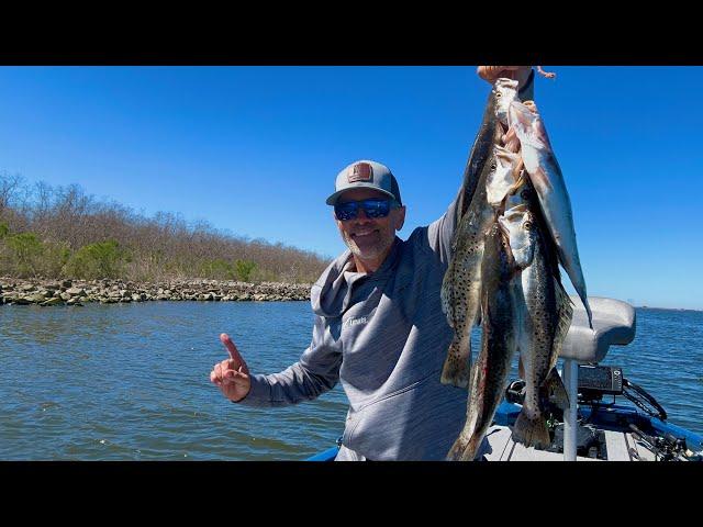 This Line of Rocks LOADED with Speckled Trout!