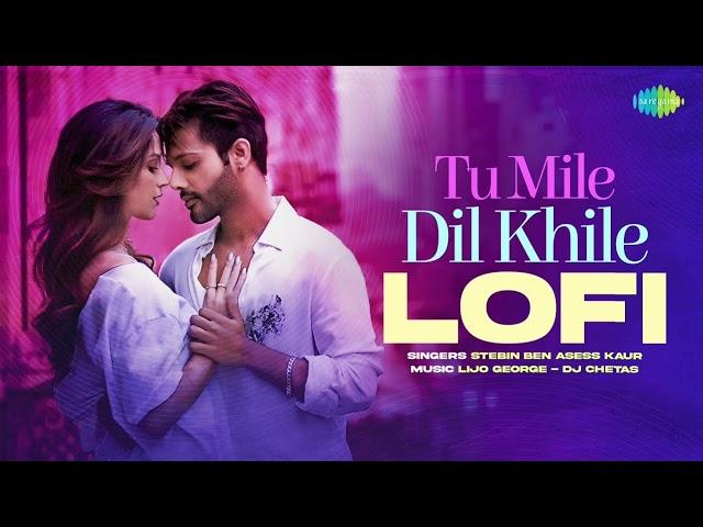 Tu Mile Dil Khile (Slowed + Reverb) | Asees Kaur, Stebin Ben | SSmixking