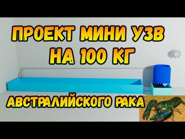 Проект мини УЗВ до 100 кг австралийского рака