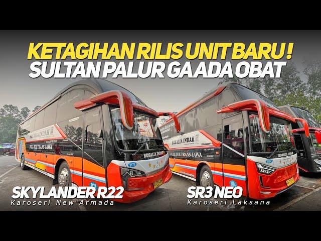 SULTAN PALUR BORONG UNIT BARU LAGI‼️ KETAGIHAN RILIS DARI 2 KAROSERI INI ‼️ SR3 NEO & SKYLANDER R22