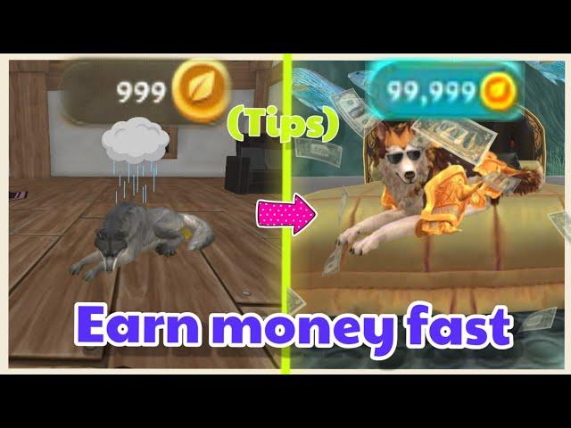 How to earn money fast in wildcraft ||Tips|| ( am not expert too xD)