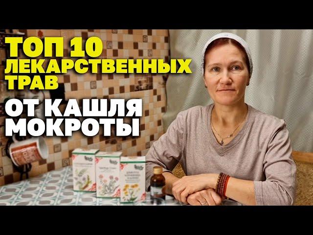 10 ТРАВ ОТ СУХОГО И ВЛАЖНОГО КАШЛЯ @natureMarusya