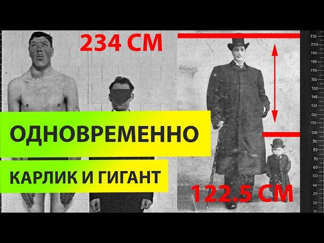 КАРЛИК и ВЕЛИКАН одновременно - Адам Райнер