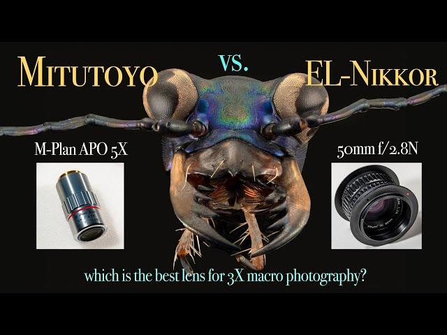 Nikkor 50mm f/2.8N  vs Mitutoyo M-Plan APO objective - Best 3X lens?