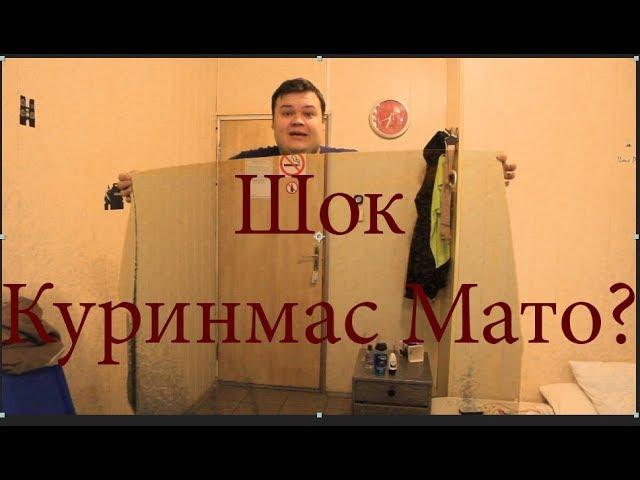 Шок Куринмас Мато ? Шундай Мато Борми