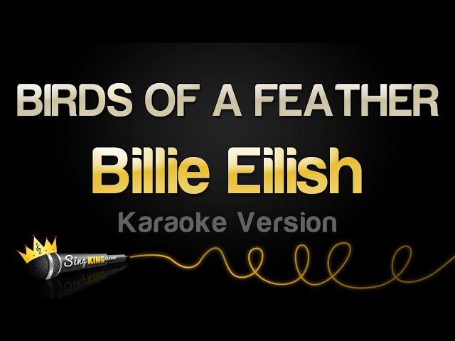 Billie Eilish - BIRDS OF A FEATHER (Karaoke Version)