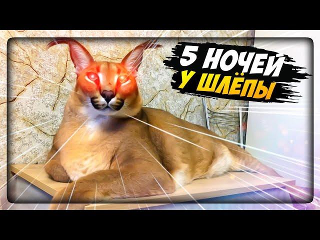 ПЯТЬ НОЧЕЙ У ШЛЁПЫ! ШЛЁПА ОБОЖАЕТ ПЕЛЬМЕШКИ!  Five Nights at Floppa