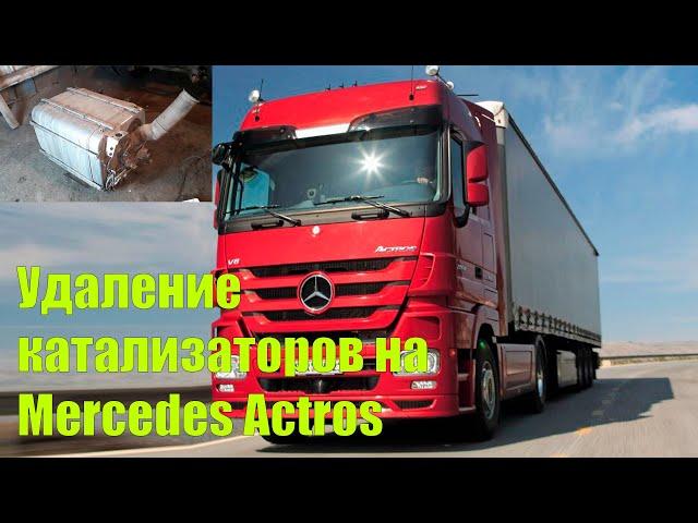 Удаление катализаторов на Mercedes Actros