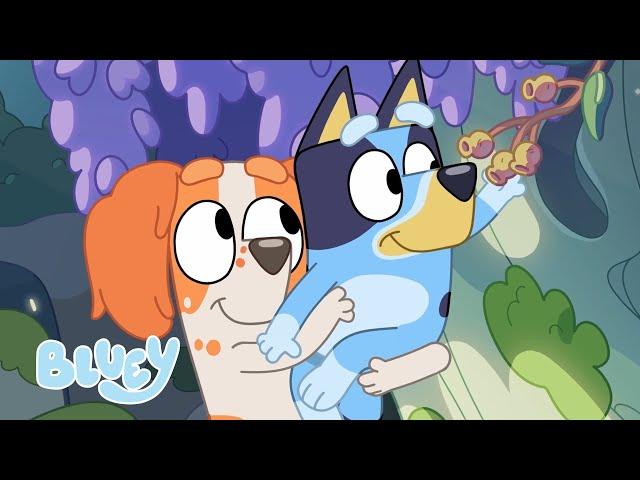 Bluey and Mia Make a Fairy Garden ‍️  | Season 2 Highlight - Barky Boats | Bluey