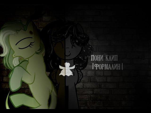 пони клип |формалин| 14+