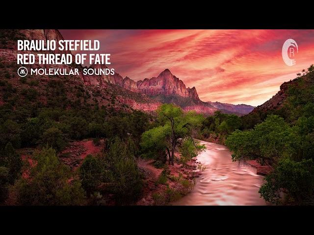 Braulio Stefield - Red Thread Of Fate [Molekular Sounds] Extended