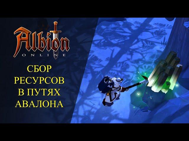 Albion online : СБОР РЕСУРСОВ - ТОЛЬКО В ПУТЯХ АВАЛОНА