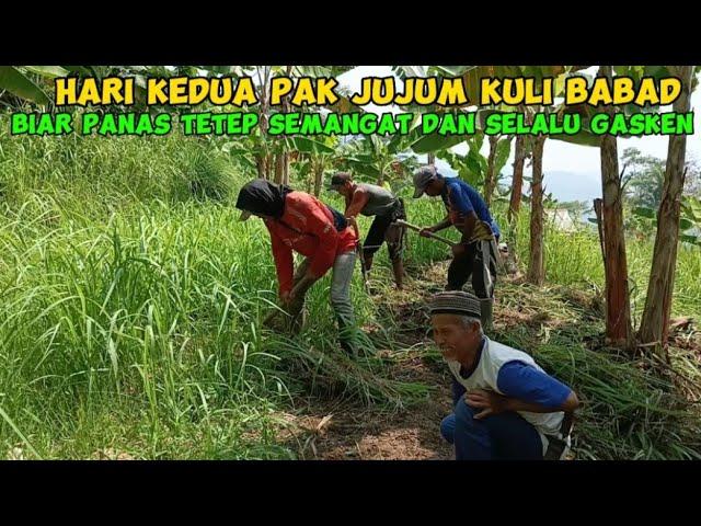 HARI KEDUA PAKJUJUM KULI BABAD BIAR PANAS TETEP SEMANGAT DAN SELALU GASKEN