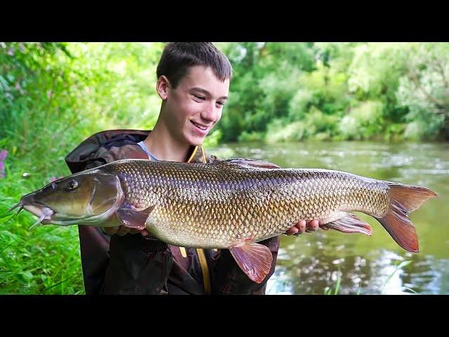 INCREDIBLE River Fishing - Big Barbel and Chub!