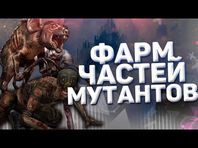 StalCraft! Где и как фармить жетоны охотника!