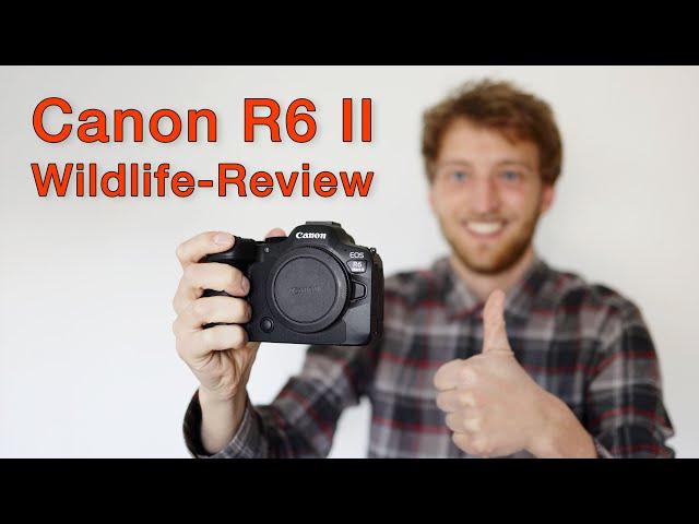 Die BESTE Kamera für die Tierfotografie? Canon R6 II - Meine Erfahrungen (Review)