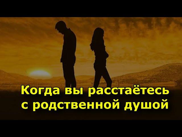 Когда вы расстаетесь с родственной душой произойдут эти 7 вещей