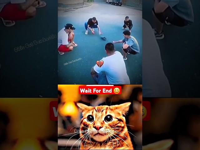 everything is big for them  #cat #meme #dance #trending