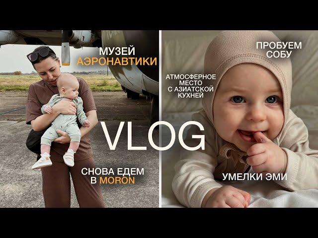 VLOG: МОРОН - музей Авиации в Аргентине, заглянем в место с азиатской атмосферой, БУДНИ МАМЫ