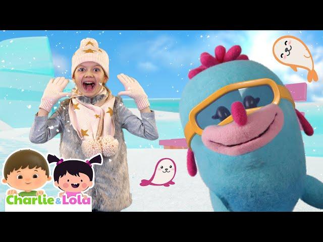 Baby Seal ​ | Giggle Wiggle  | Dance Party Songs & Rhymes ​ @Charlie-Lola