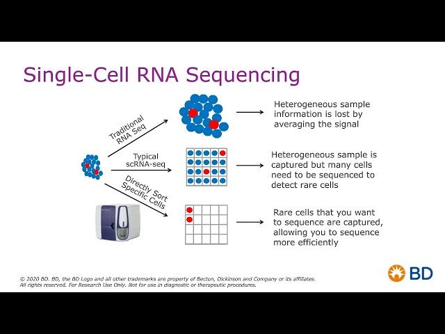 Chronic Lymphocytic Leukemia Phenotyping with Single Cell Multiomic Solutions