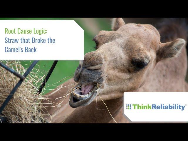 Root Cause Logic - Straw that Broke the Camel's Back