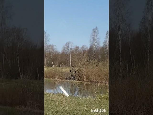 фэил на охоте  #охота #ржач #россия #fail #hanting  #shorts #утки #duckhunters #охотанауток #отдых