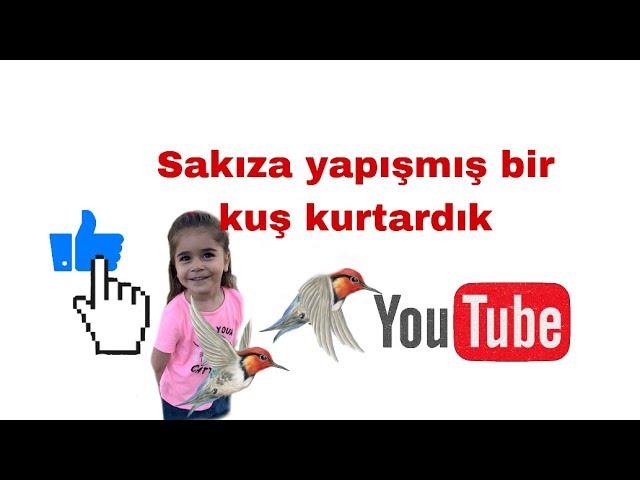 Lütfen yerlere SAKIZ atmayalım