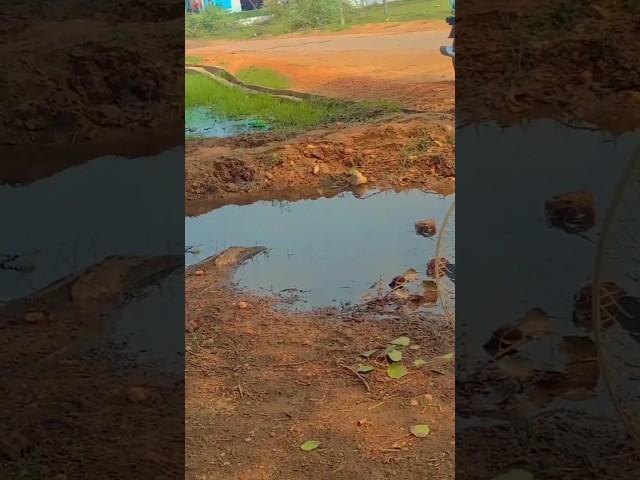 water#shortsyoutube #shorts