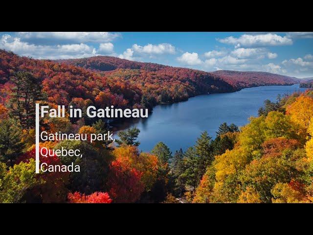 Fall in Gatineau 2021, Gatineau park, Quebec, Canada