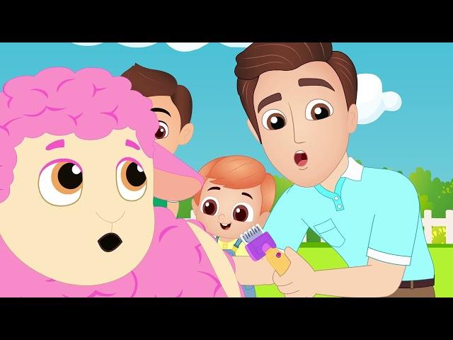 Itsy Bitsy Spider + Baa Baa Black Sheep + Finger Family | @CoComelon &   Nursery Rhymes & Kids Songs