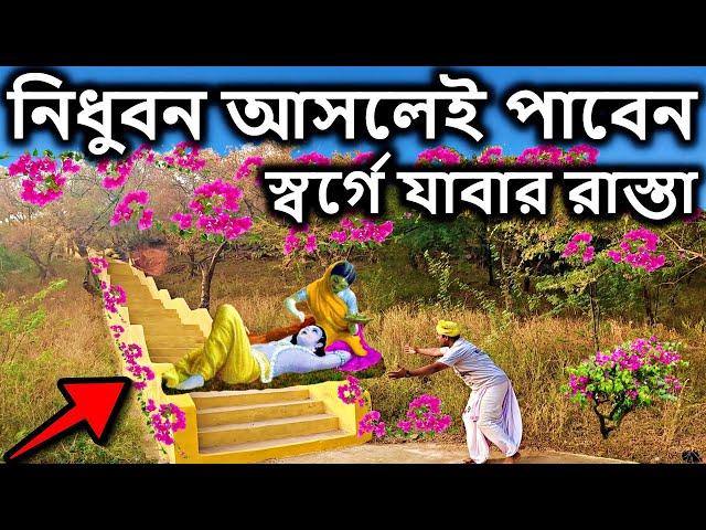 বৃন্দাবন  নিধুবন আসলেই পাবেন স্বর্গে যাবার রাস্তা #vrindavan। brindabon, বৃন্দাবন দর্শন |dham sebak